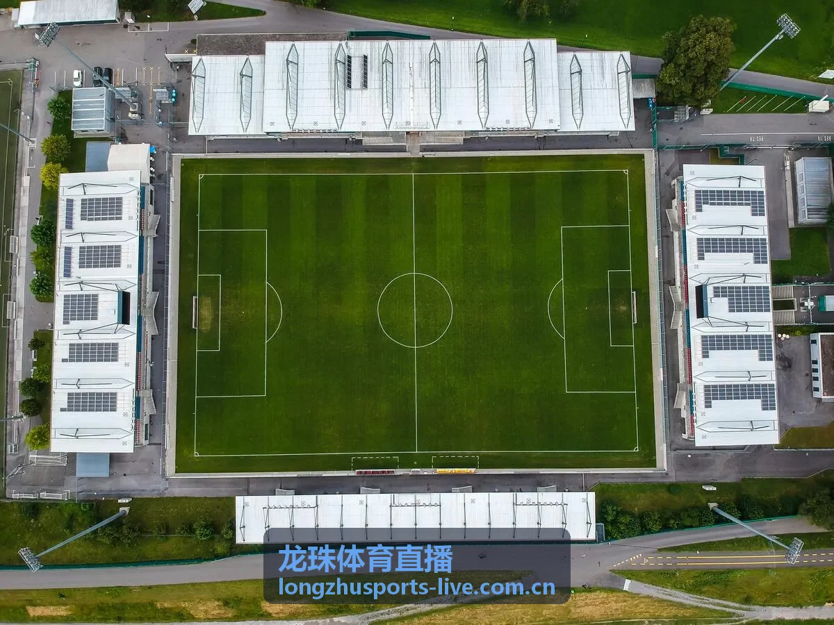 龙珠体育直播比赛直播界面与数据面板演示